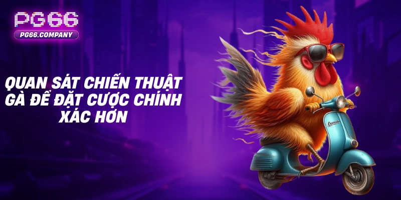 ĐÁ GÀ 3 Quan sát chiến thuật gà để đặt cược chính xác hơn