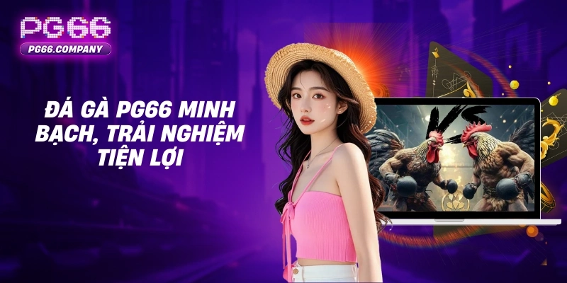 Đá gà trực tiếp tại PG66 với kèo cược đa dạng và minh bạch 3 Đá gà PG66 minh bạch, trải nghiệm tiện lợi